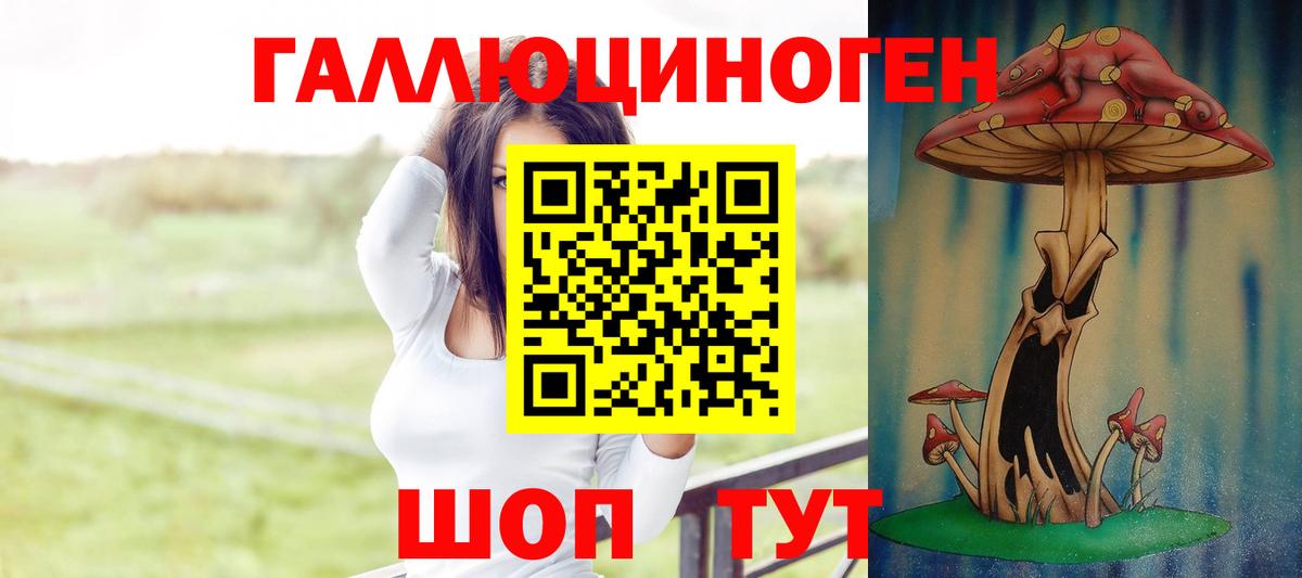Галлюциногенные грибы Magic Shrooms  Вход с VPN  Черкесск 